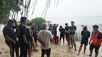 ipb.jpg