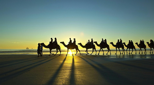 sunset_naik_unta.PNG