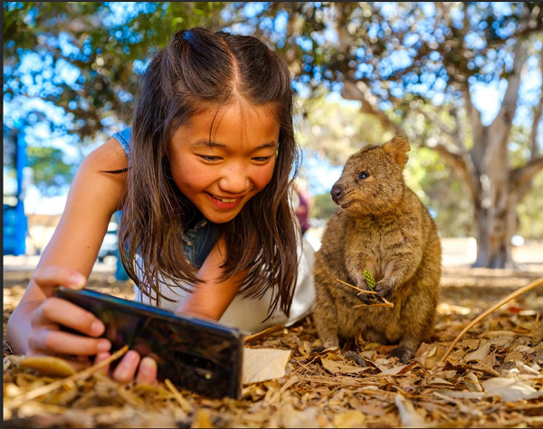 wisata_australia1.png