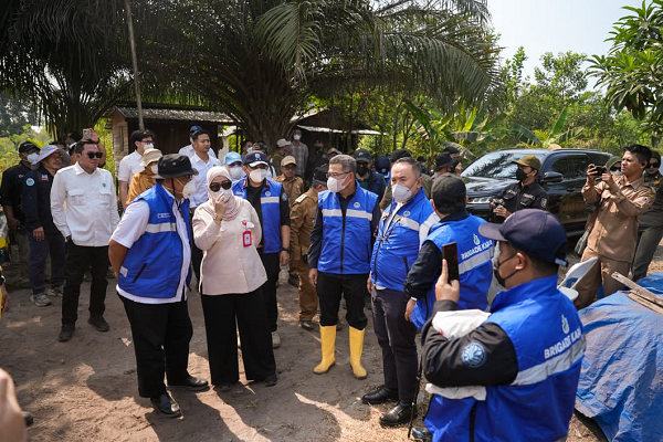 Laksanakan Instruksi Presiden, KLH Segel 50 Badan Usaha Akibat Puluhan Ribu Hektare Lahan 